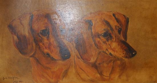 Dog study- oil by Gertrude Whelpling